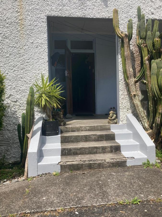 Okato Homestay - B&B