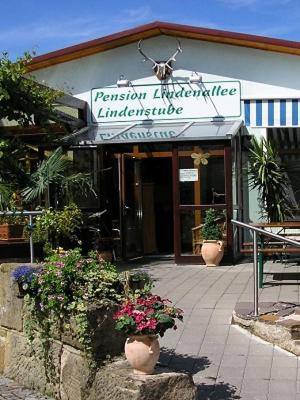 B&B Neuendettelsau - Pension Lindenallee - Bed and Breakfast Neuendettelsau