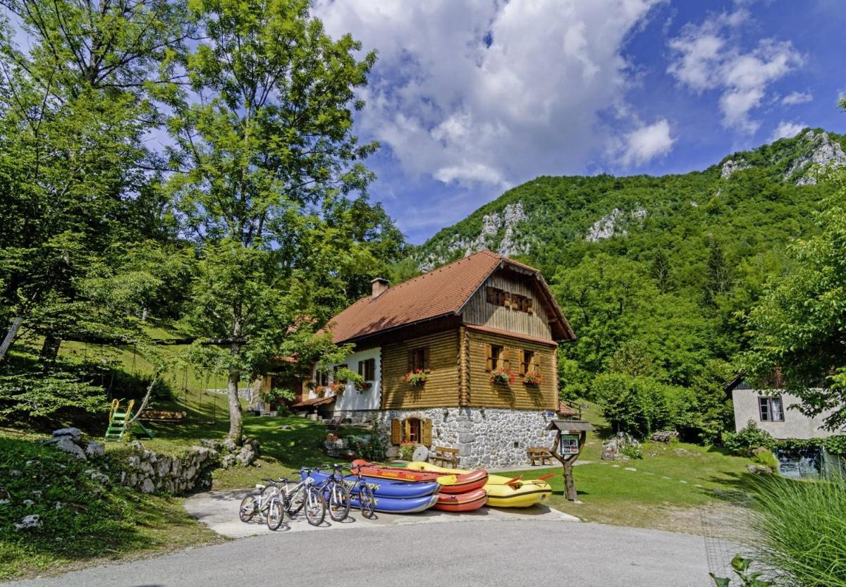 Sobol in Kočičin (Haus für 6-9 Personen) - B&B Kuželj