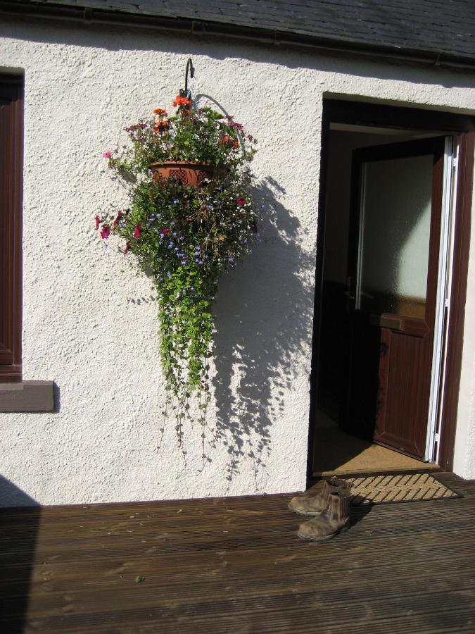 B&B Kirktown of Auchterless - Seggat Farm Holiday Cottages - Bed and Breakfast Kirktown of Auchterless