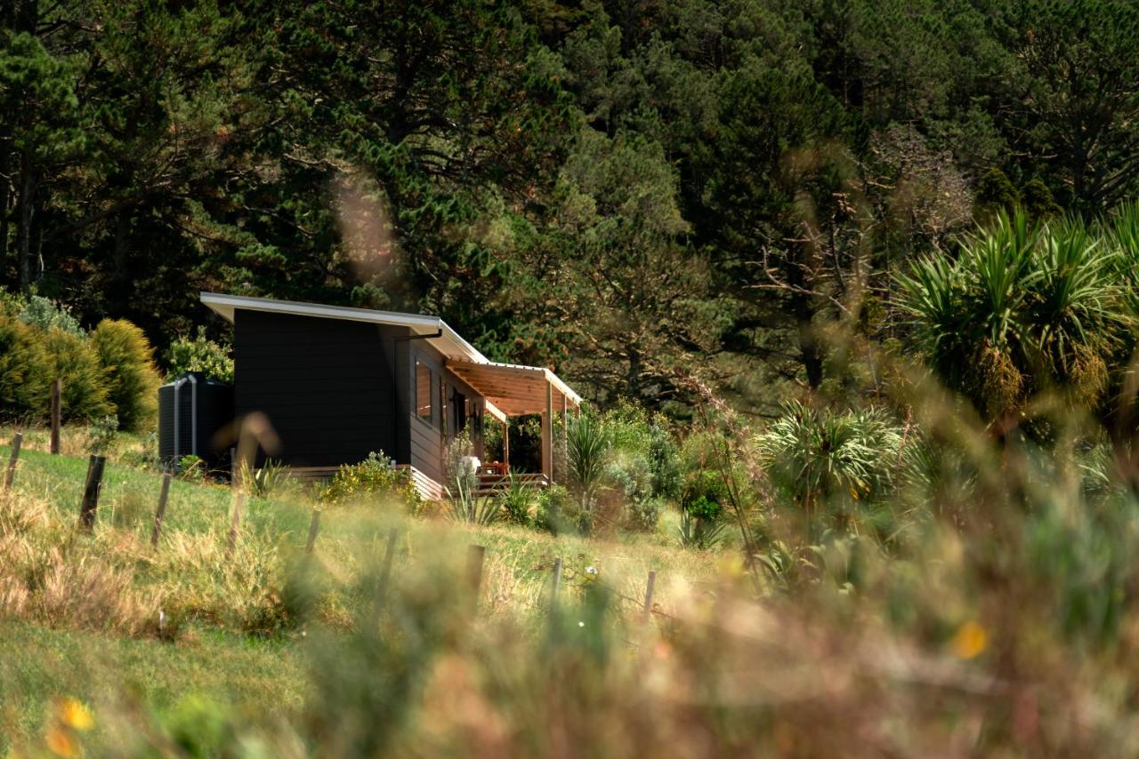 Koa Cabin Hahei - B&B Hahei