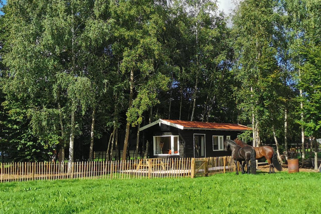One-Bedroom Chalet