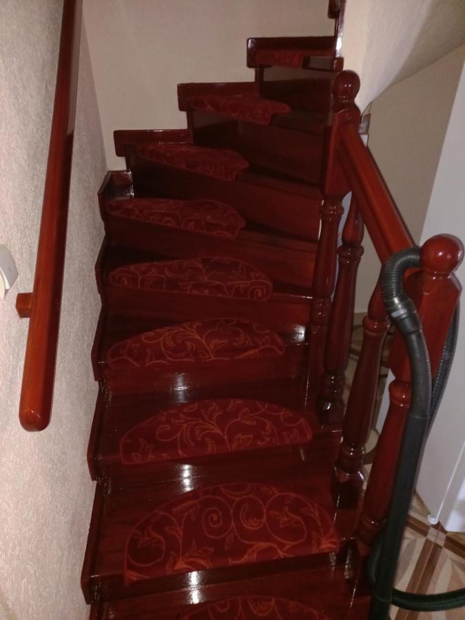 Pensiunea Floare de Bucovina - B&B Frasin