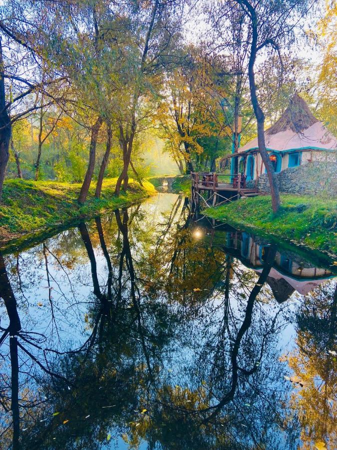 B&B Valea Drăganului - Viewtopia The Secret Land - Bed and Breakfast Valea Drăganului