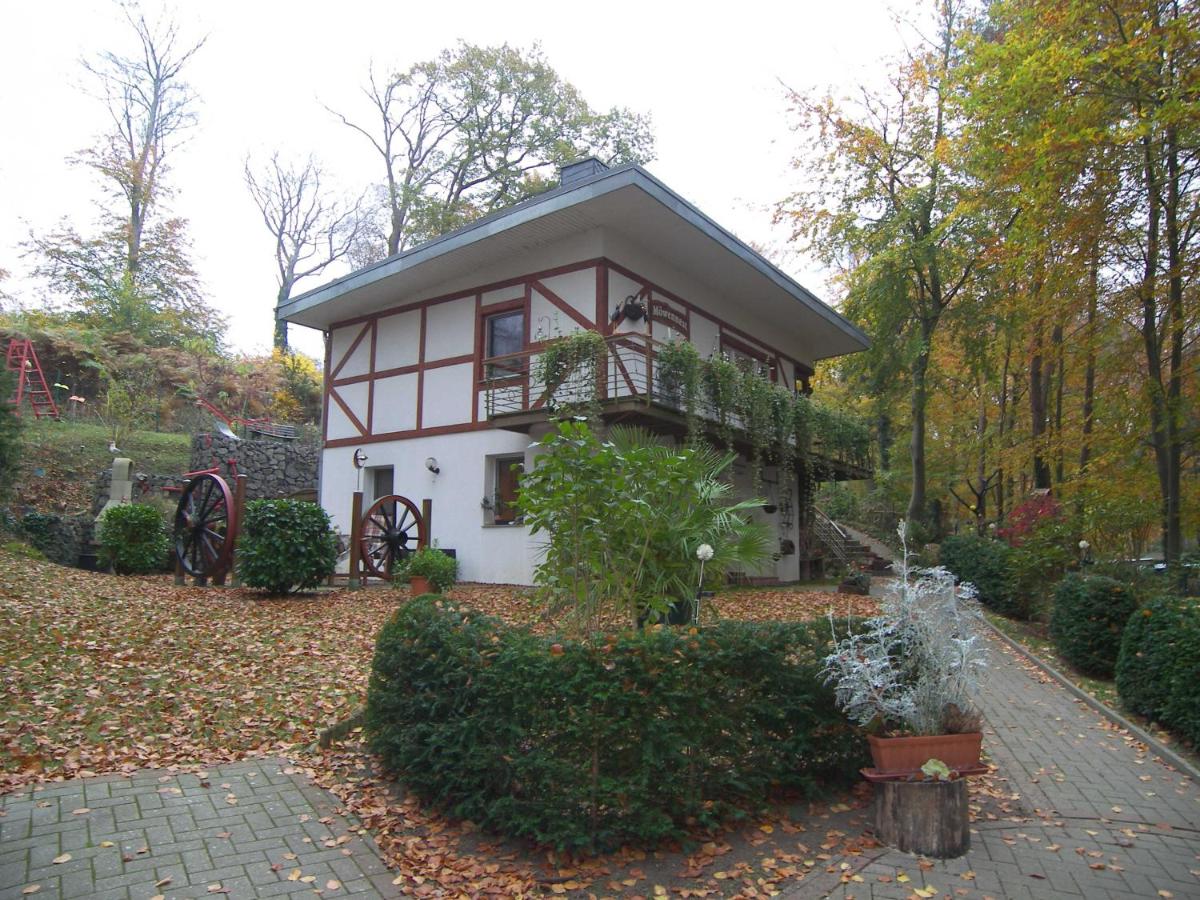 Ferienwohnung Möwennest - Ferienwohnung Stubbenfelde