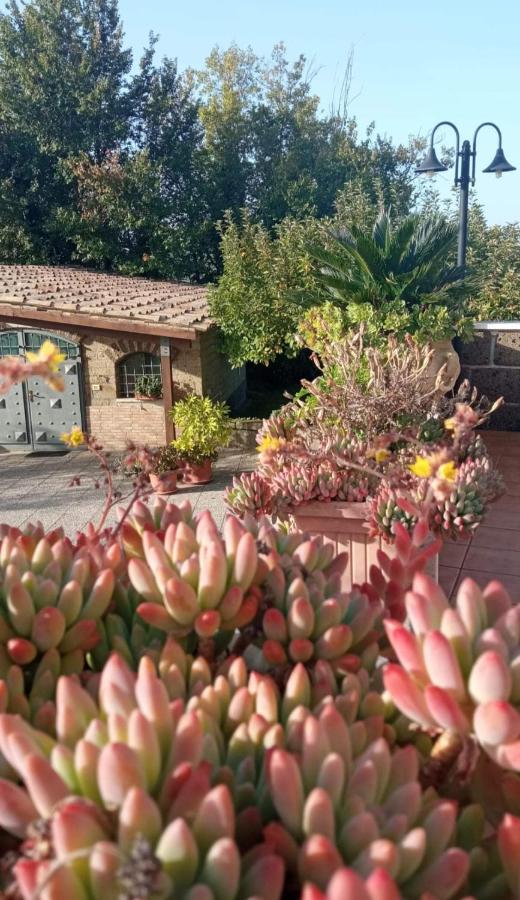 La Casa Sull'aia,AV - B&B