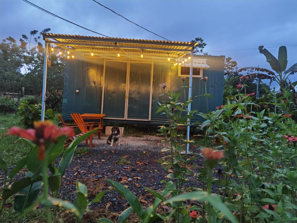 The Chocolate Lodge - Chambres d’hôtes Jiménez