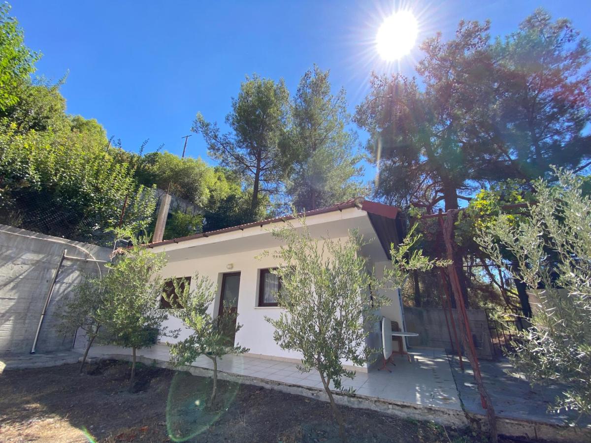 Orosthea - Cottage Style Living - B&B