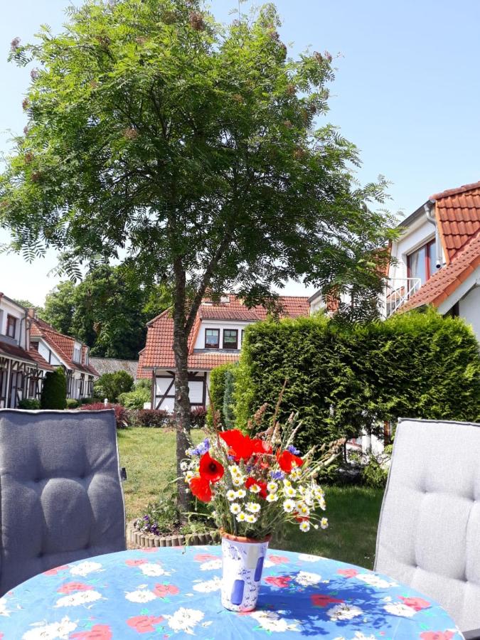 B&B Gustow - Gemütliche FeWo Bi-Uns - Bed and Breakfast Gustow