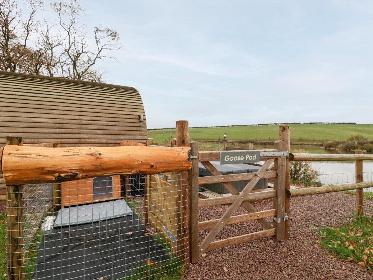 Goose Pod - B&B