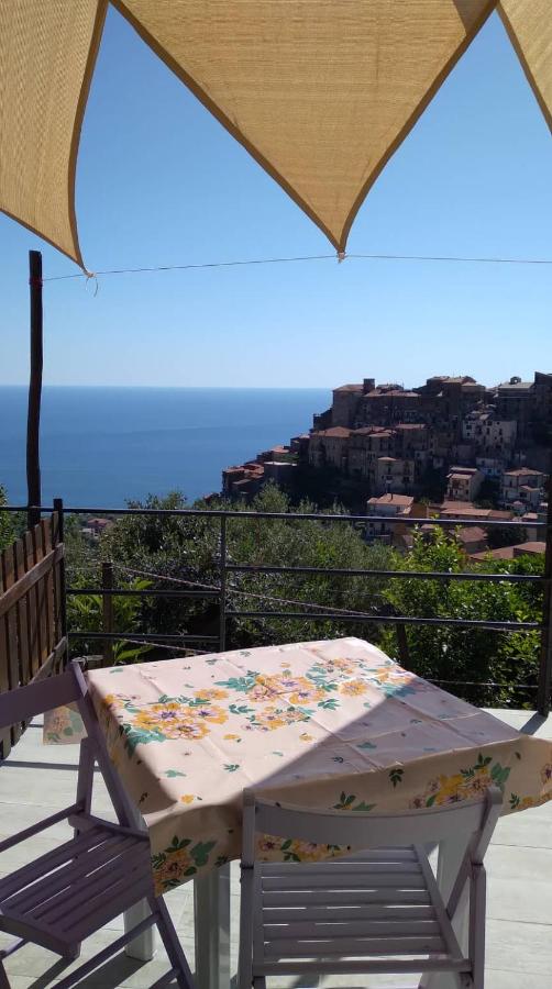 le case dei fiori - Chambres d’hôtes Pisciotta