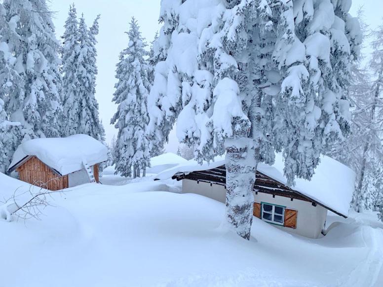 Ski in - Ski out am Hauser Kaibling - B&B Haus im Ennstal