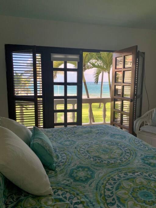 Cabarete Beachfront Condos Nanny Estate A3 - B&B