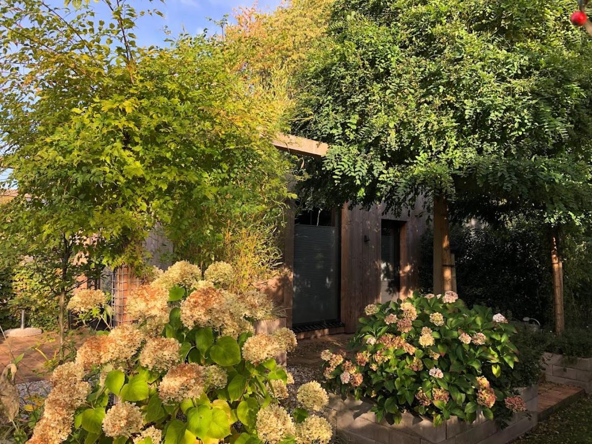 Jeltje - B&B