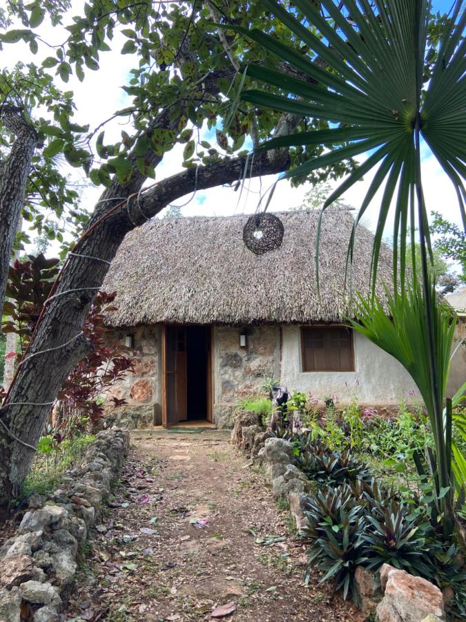 Encantadora Villa Maya tradicional en Rancho Agroecologico - B&B Tzucacab