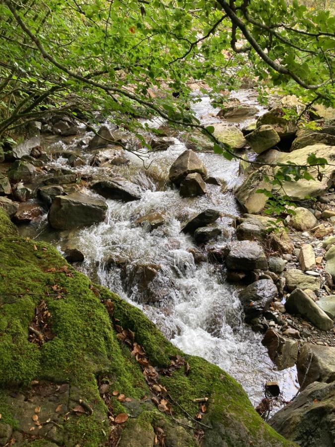 Snowdonia Holiday Lodges - B&B
