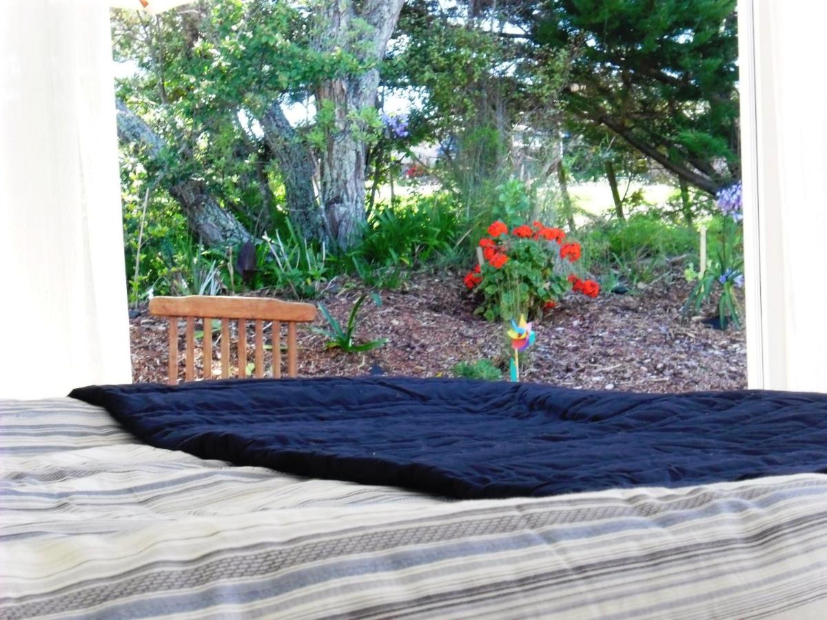 Blue Birds - B&B Oneroa