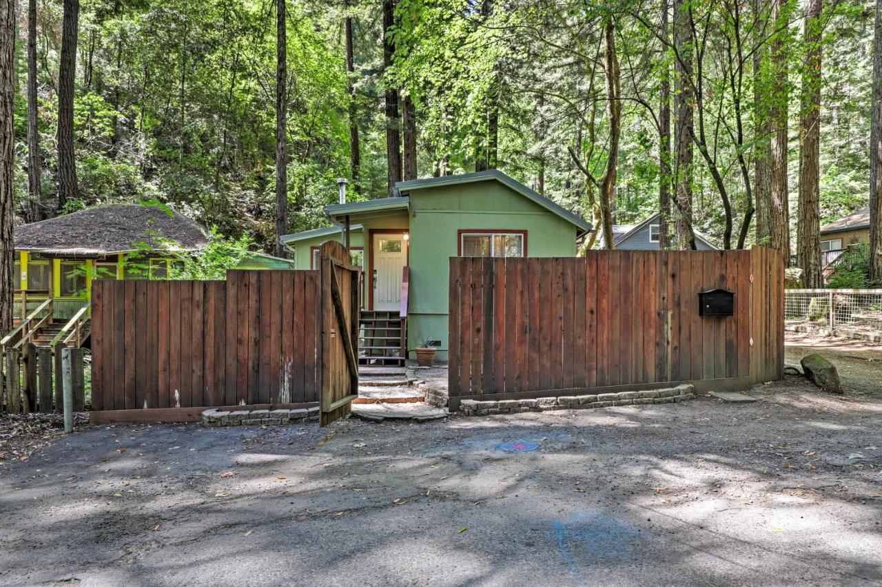 B&B Guerneville - Quiet Cottage with Redwood Forest Views and Deck! - Bed and Breakfast Guerneville