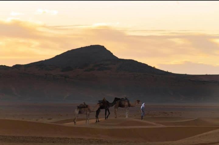 B&B Zagora - Bivouac ZAGORA - Bed and Breakfast Zagora