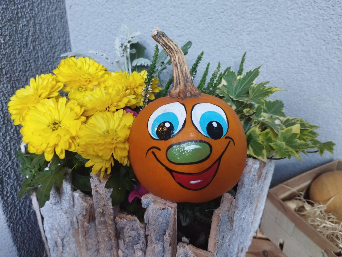 Pension Temizdemir - B&B Lahr