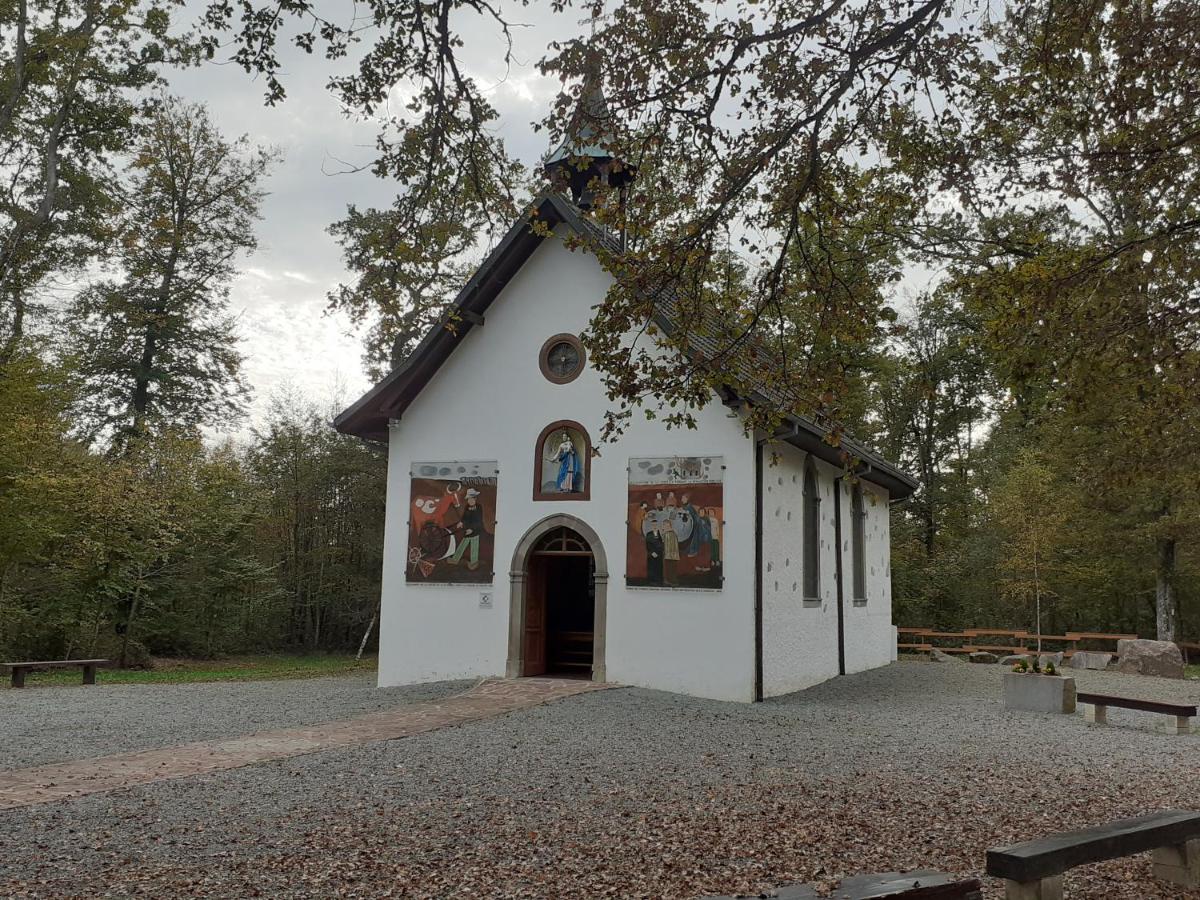 A l'Orée du Bois Les Bouleaux - Ferienwohnung