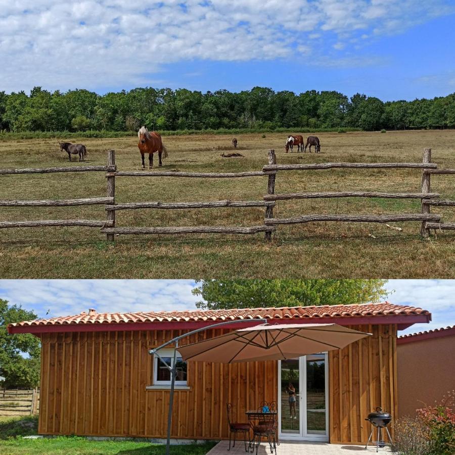 eco nature, gite à la ferme - B&B Vendays-Montalivet