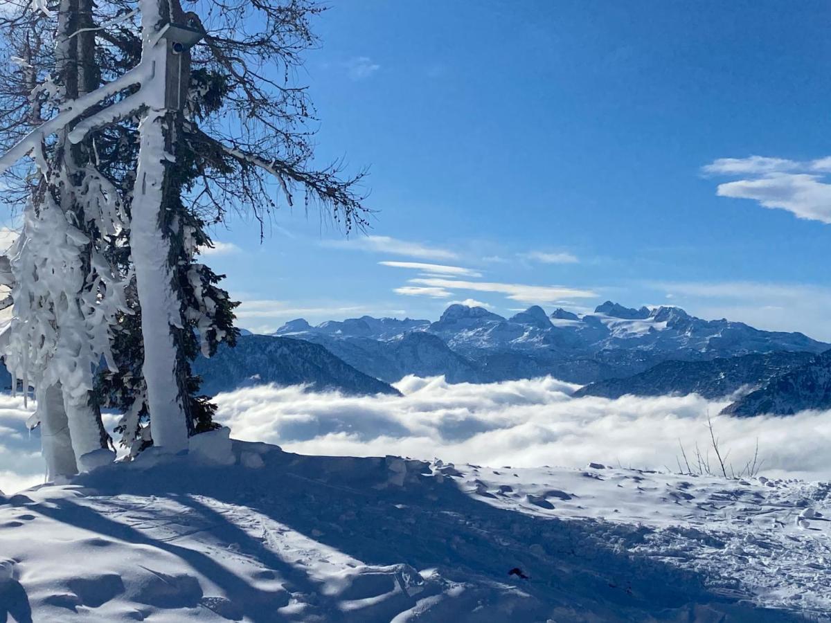 Apartamento con vistas al lago