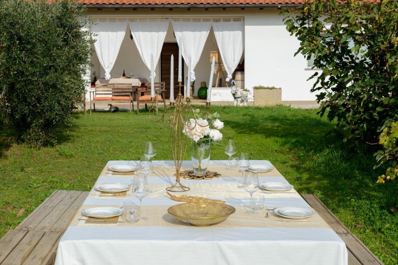 A Casa di Elena. - B&B Arezzo