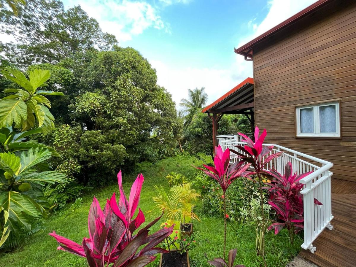 Mahogany Lodge - Oasis cosy - Bed and Breakfast