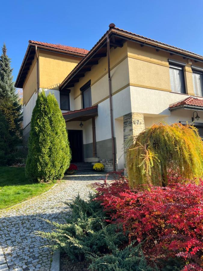 Słoneczny Zakątek Krynica-Zdrój - Chambres d'hôtes Krynica-Zdrój
