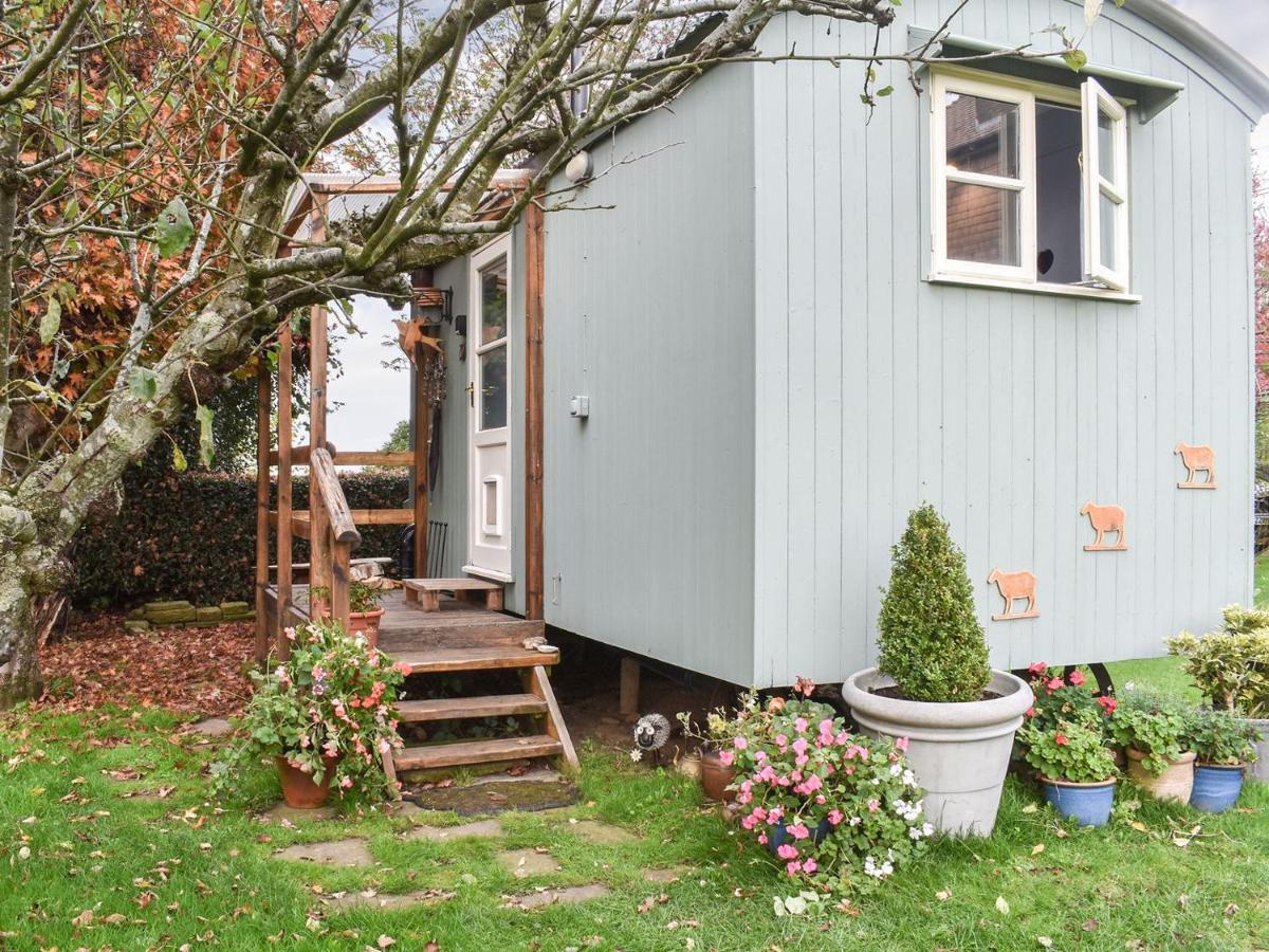 B&B Thursley - Farmhouse Garden Shepherds Hut - Bed and Breakfast Thursley