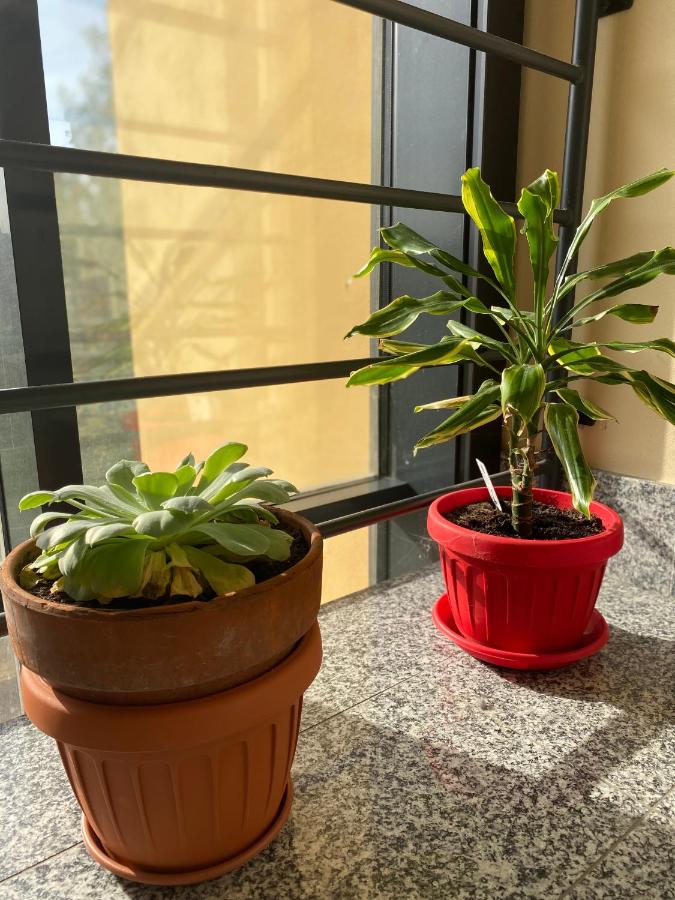 Appartamento Eliana - Bed and Breakfast Asti