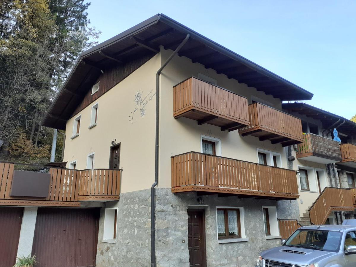 Soggiorno Vacanze Stella Alpina - Chambres d'hôtes Temù