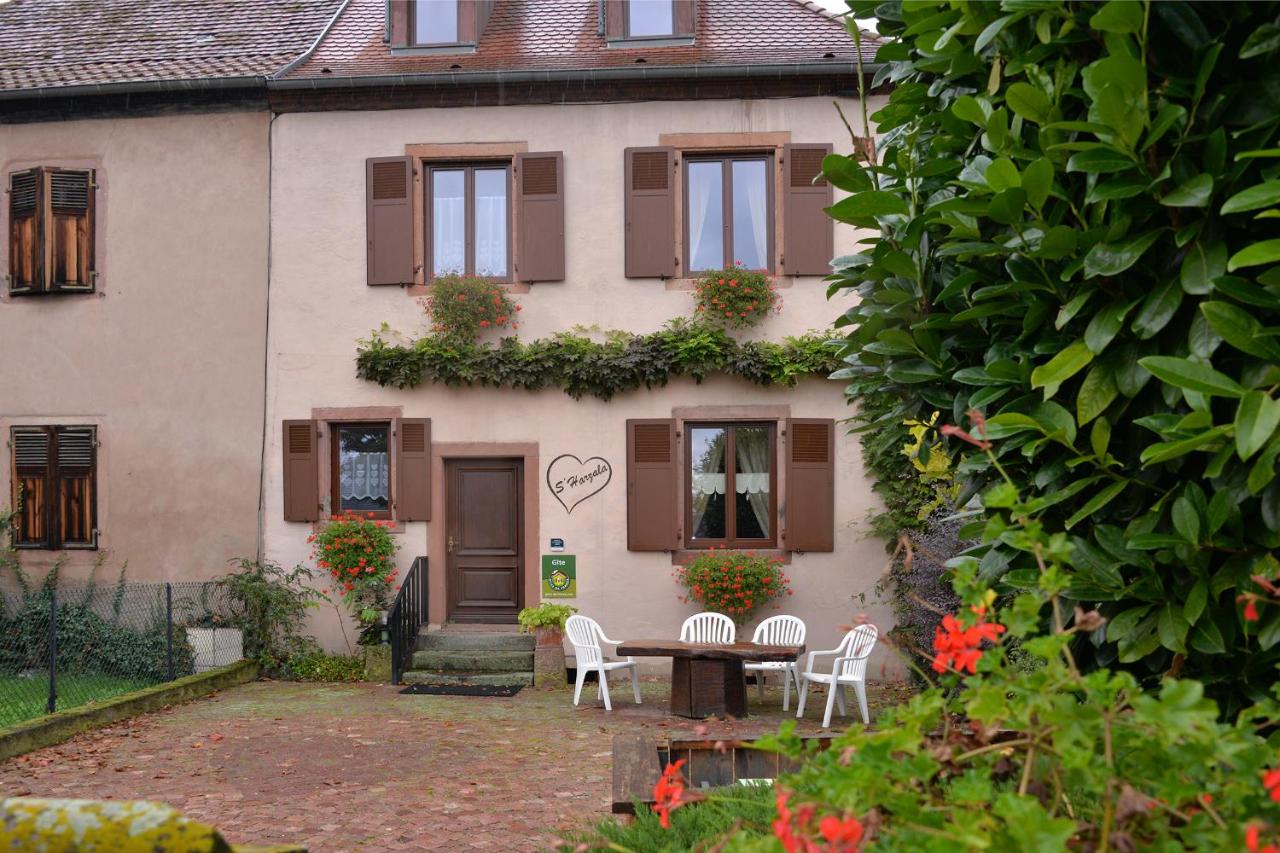 S'Harzala Rouge - B&B Bergheim