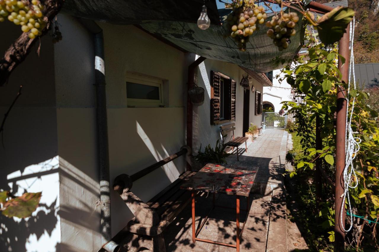 Apartment "Johana" - B&B Brod Moravice