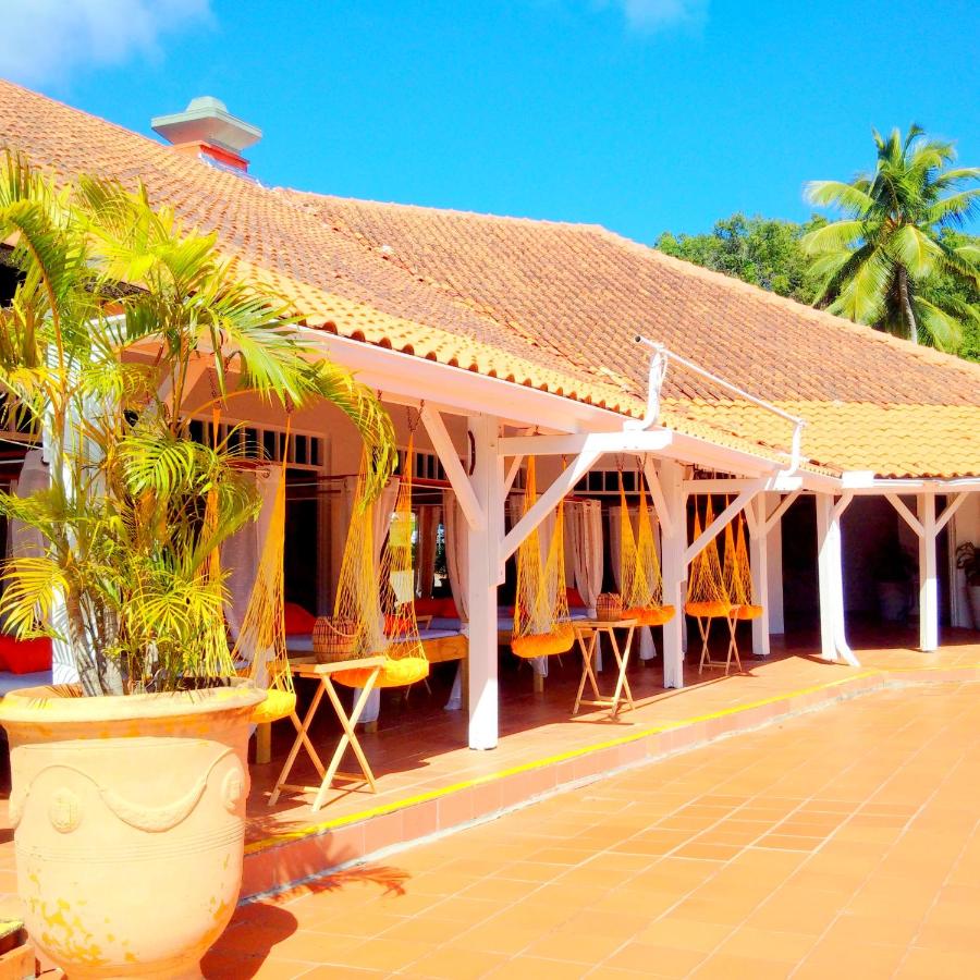 Color Garden - Studio Martinique - B&B