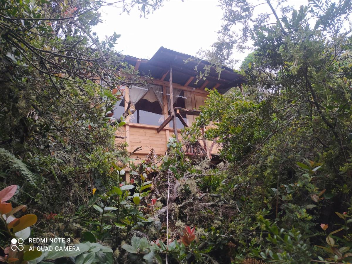 Chalet mit 1 Schlafzimmer