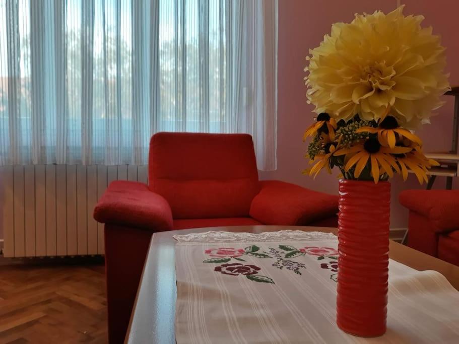 Apartman Slavonija - Ferienwohnung