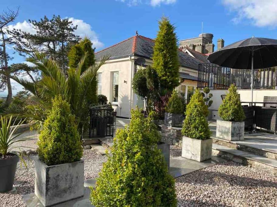 B&B Barmouth - Tre Mynach Barmouth - Bed and Breakfast Barmouth