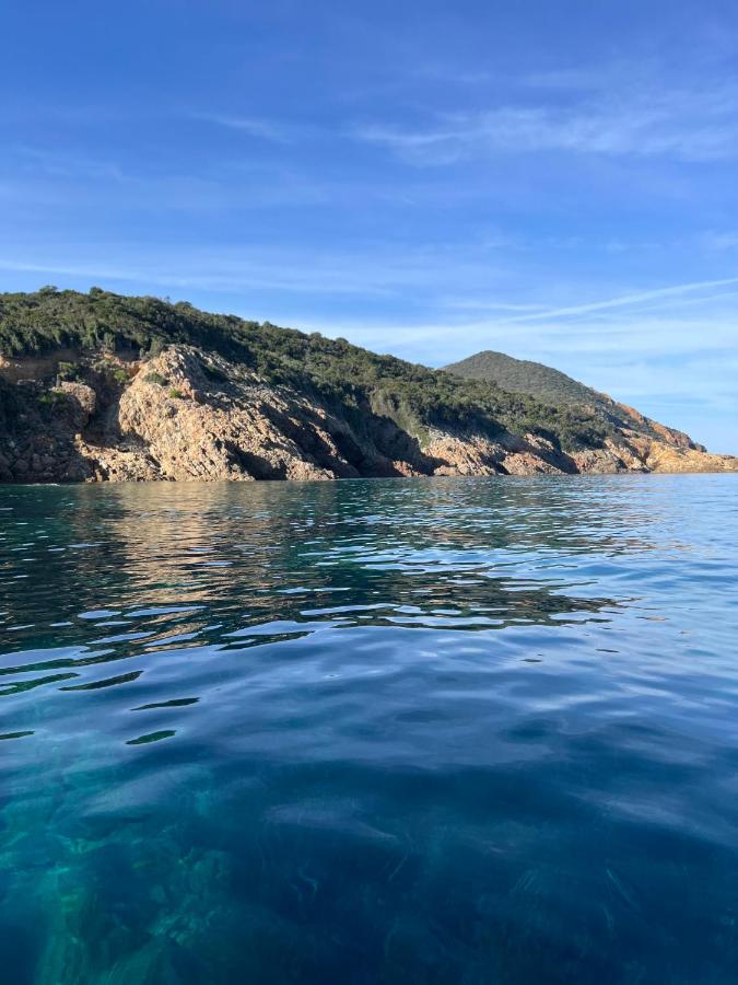 Camera King con Vista Montagne