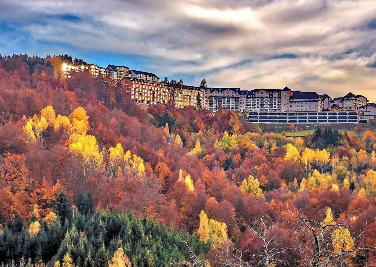 PLEASURE LUX GOLD - B&B