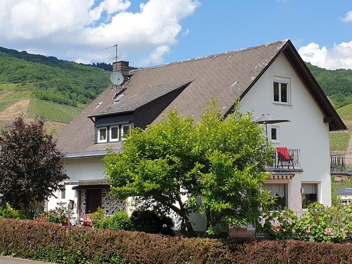 Schorn³ Appartements - Ferienwohnung