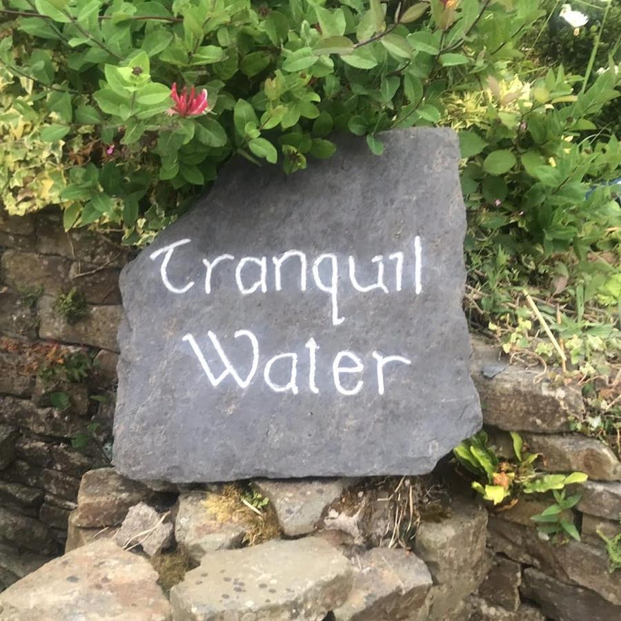 Tranquil Water Pod (Self -catering with sea view)