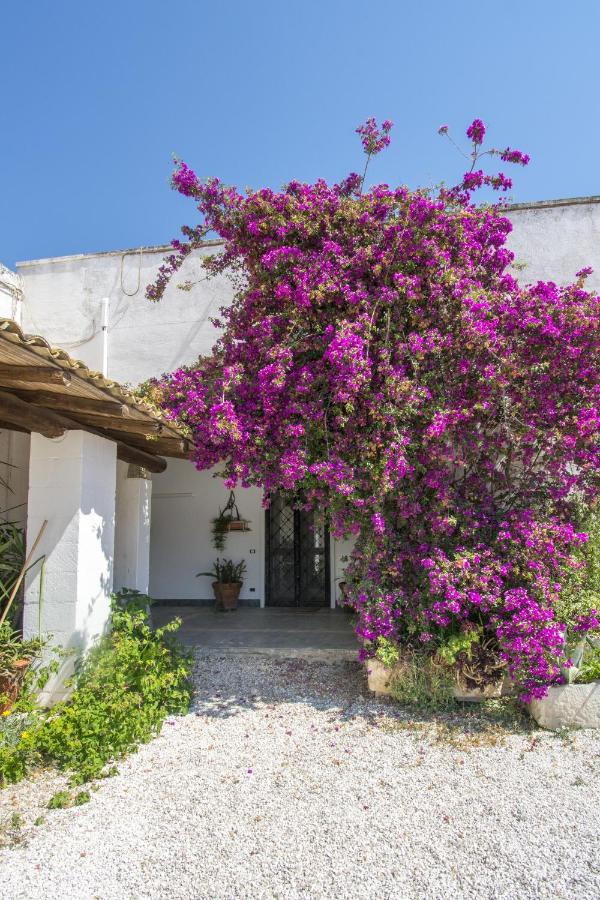 B&B Torre Santa Susanna - Masseria Bellamarina - Bed and Breakfast Torre Santa Susanna