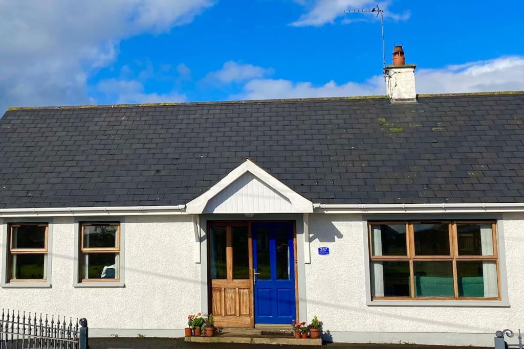 B&B Bushmills - Milo's Cosy Cottage Giant's Causeway - Bed and Breakfast Bushmills