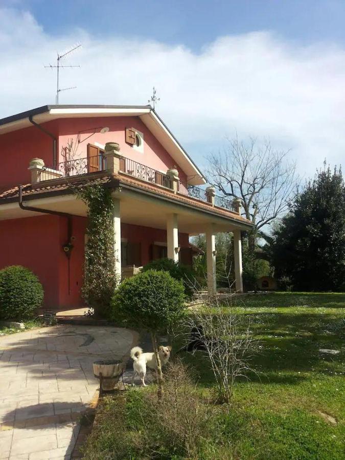 B&B Monsampolo del Tronto - Affascinante Villino - Bed and Breakfast Monsampolo del Tronto