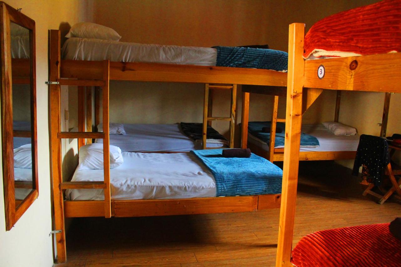 Bed in 6-Bed Mixed Dormitory Room