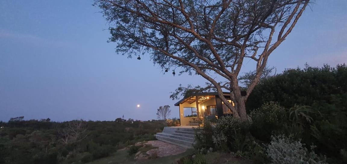 Caracal Cottage - B&B