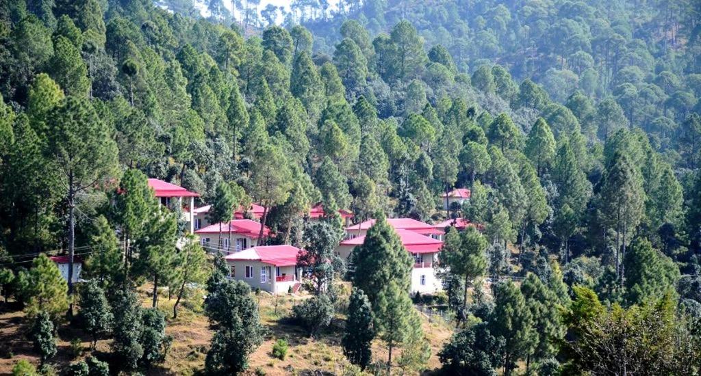 Majkhali Woods, Ranikhet, By Himalayan Eco Lodges - Chambres d’hôtes