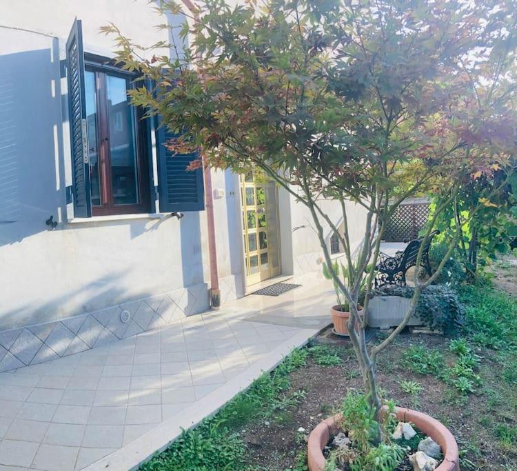 Delizioso appartamento in villa tra mare e città - B&B Osoli